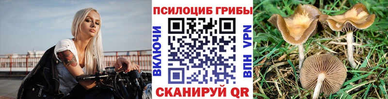 магазин    Бабаево  Галлюциногенные грибы прущие грибы 